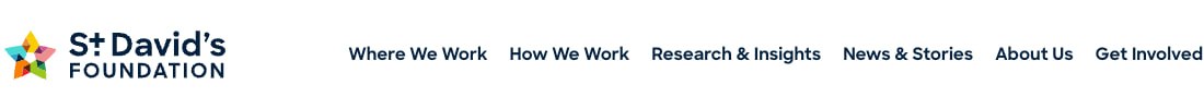St. David’s Foundation logo